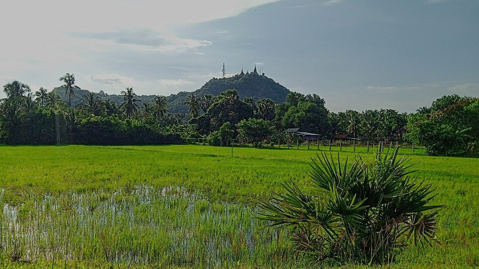 Phnom Penh Cycle to Kep Kampot 4 Days